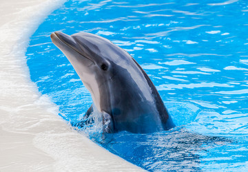 Similar image 22012919