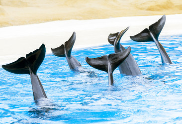 Similar image 22013280