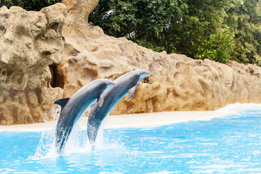 Similar image 22013426