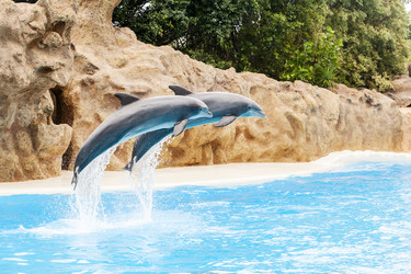 Similar image 22011774