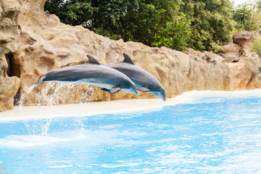 Similar image 22011776