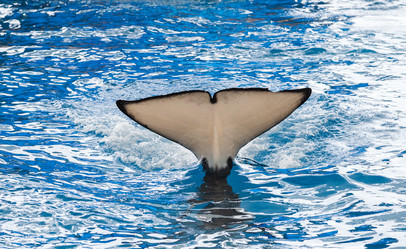 Similar image 22011777