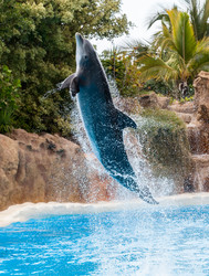 Similar image 22011778