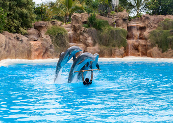 Similar image 22011779