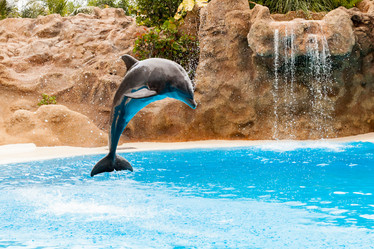 Similar image 22011780