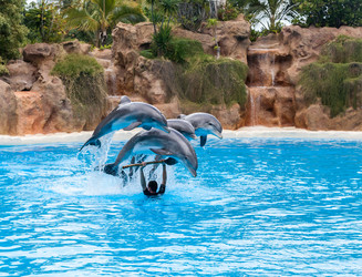 Similar image 22011781