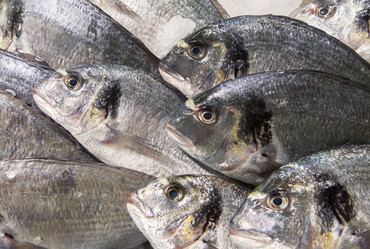 Similar image 22011782