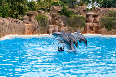 Similar image 22011783