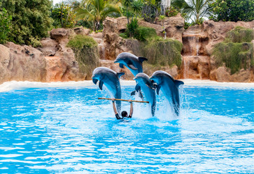 Similar image 22011785