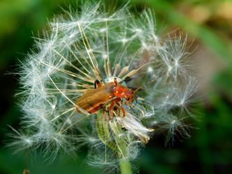 Similar image 22014489