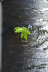 Similar image 22008655