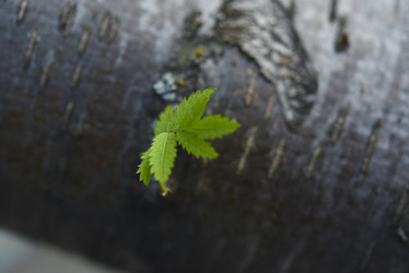 Similar image 22008656