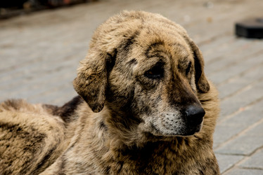 Similar image 22016094