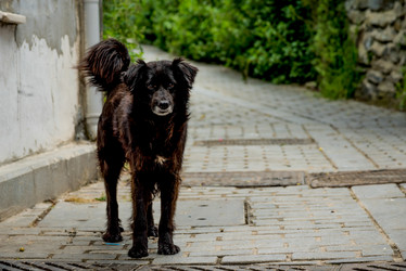 Similar image 22016096