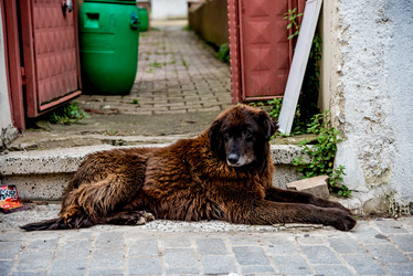 Similar image 22016098