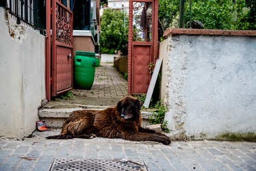 Similar image 22016101