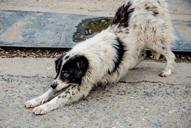 Similar image 22016102