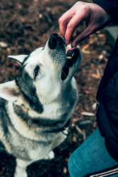 Similar image 22016104