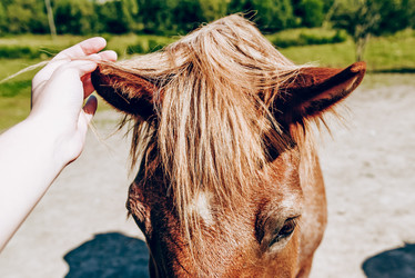 Similar image 22016189