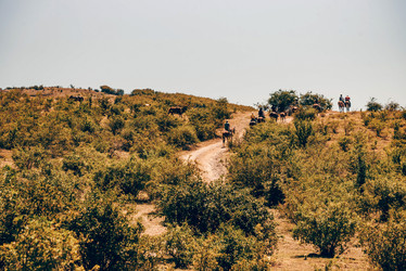 Similar image 22016191