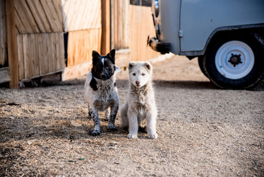 Similar image 22016192