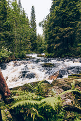 Similar image 22016193