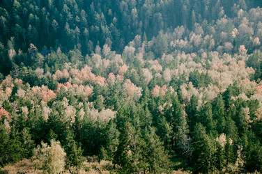 Similar image 22016308