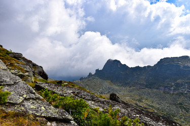 Similar image 22008558