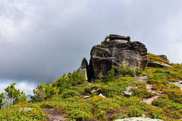 Similar image 22008564