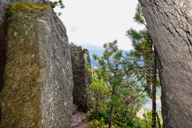 Similar image 22008567