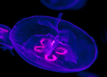 Similar image 22012221