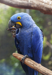 Similar image 22012256