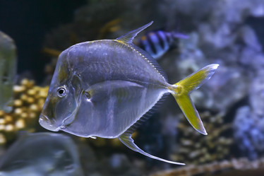 Similar image 22012257