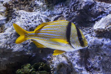 Similar image 22012258