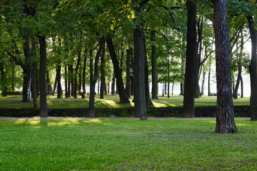 Similar image 22018609