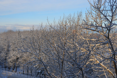 Similar image 22018614