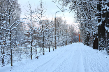 Similar image 22018618