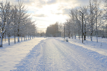 Similar image 22018915