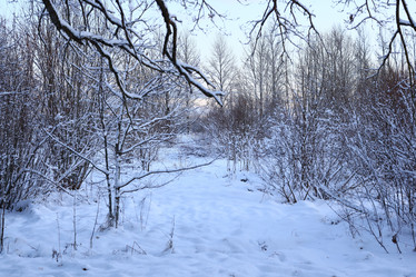 Similar image 22018916