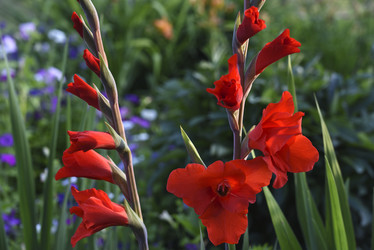 Similar image 22008658