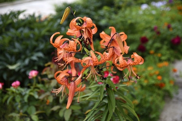 Similar image 22008659