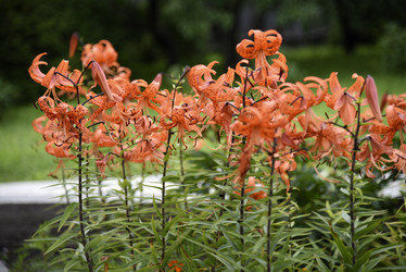 Similar image 22008660