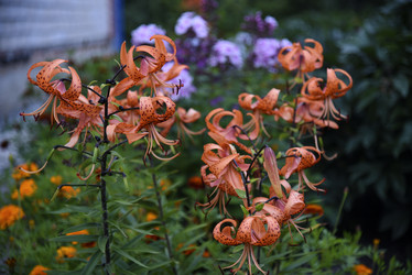 Similar image 22008678