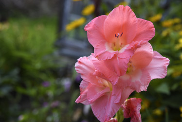 Similar image 22008679