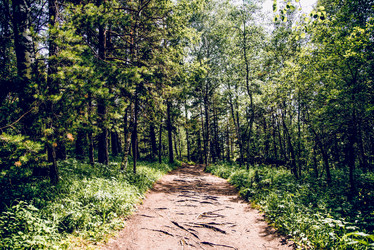 Similar image 22016438