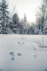 Similar image 22016440