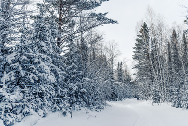 Similar image 22016442