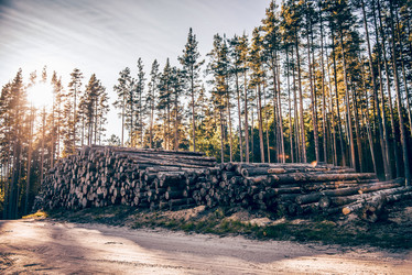 Similar image 22016444