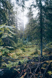 Similar image 22016446