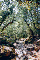 Similar image 22016448